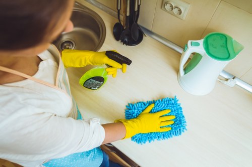 Professional window cleaner using advanced tools