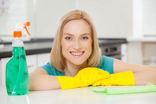 Professional technician handling upholstery cleaning