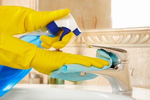 Eco-friendly cleaning products for ovens