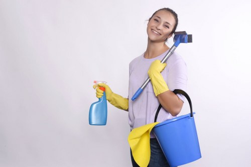 Spotless windows and fixtures after after builders cleaning by Glossy Cleaners