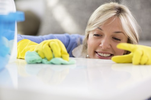 Eco-friendly cleaning solutions for carpets