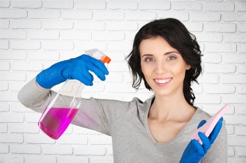 Professional patio cleaning process