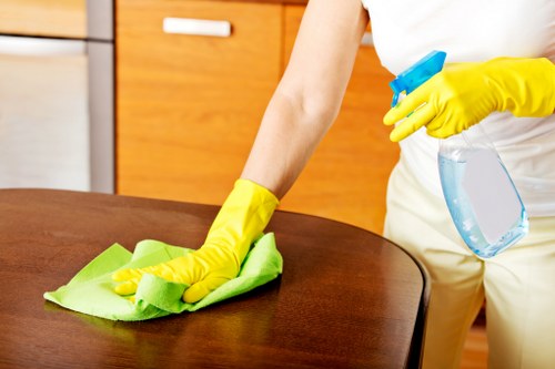 Glossy Cleaners' professional cleaning process